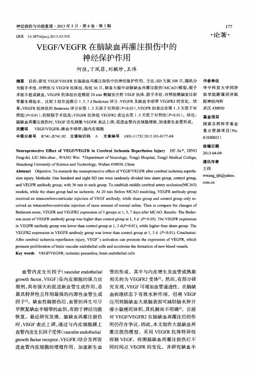 VEGF／VEGFR在脑缺血再灌注损伤中的神经保护作用