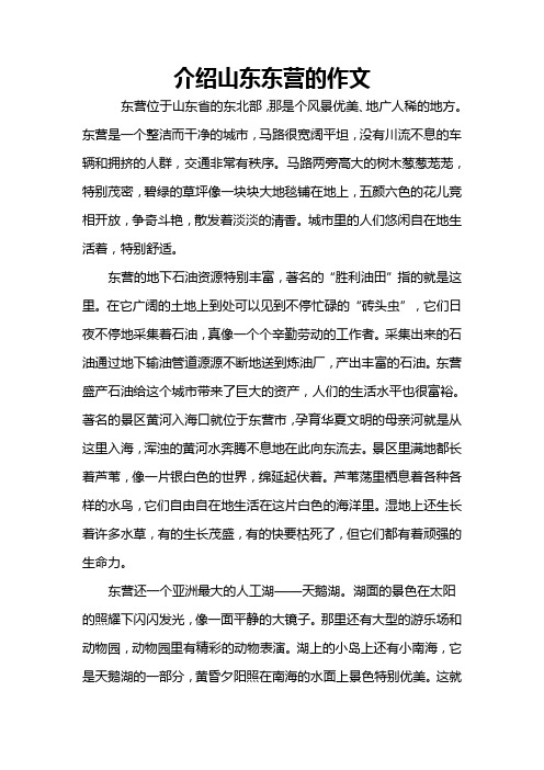 介绍山东东营的作文