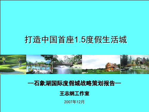 石象湖国际度假城战略策划报告精品文档