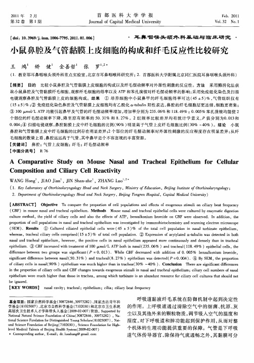 小鼠鼻腔及气管黏膜上皮细胞的构成和纤毛反应性比较研究