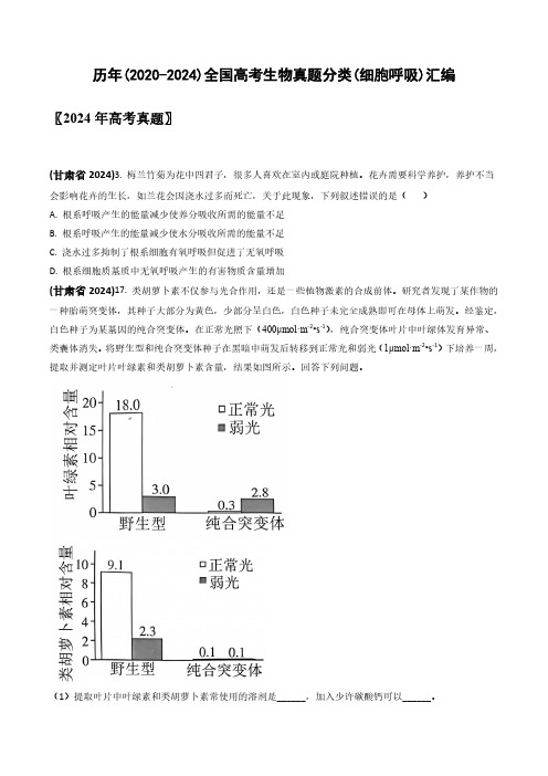 历年(2020-2024)全国高考生物真题分类(细胞呼吸)汇编(附答案)