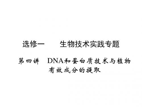 高三生物一轮复习人教版课件选修1第4讲DNA和蛋白质技术与植物有效成分的提取