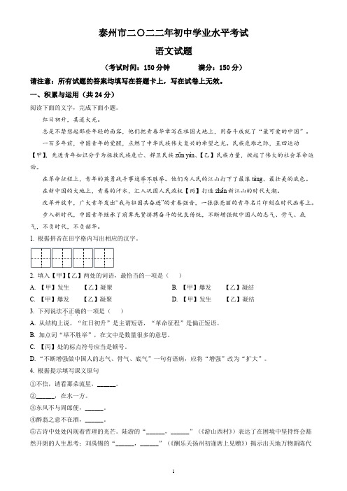 2022年江苏省泰州市中考语文试题(含答案解析)