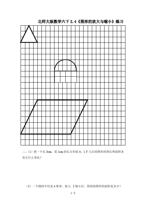 北师大版数学六下2.4《图形的放大与缩小》练习