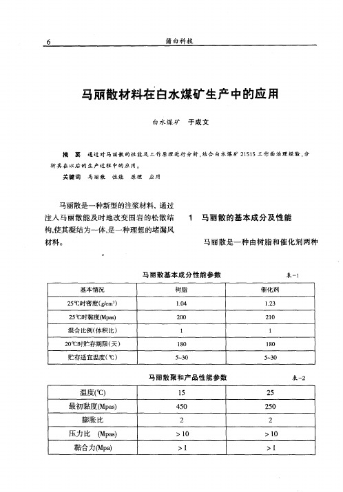 马丽散材料在白水煤矿生产中的应用