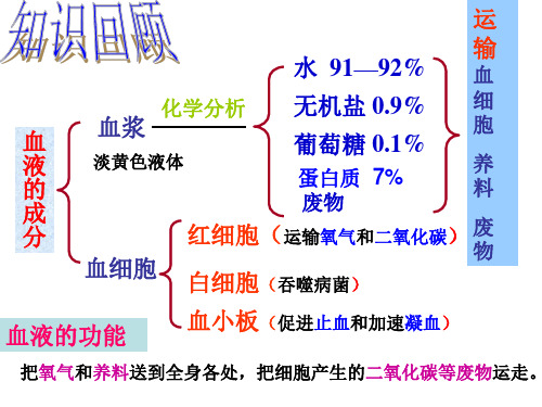 苏教版七年级下册10.1血型和输血