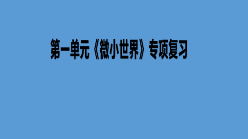 教科版六年级科学第1单元《微小世界》复习练习PPT(带解析)