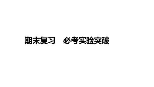 苏科版物理八年级上学期期末复习 必考实验突破