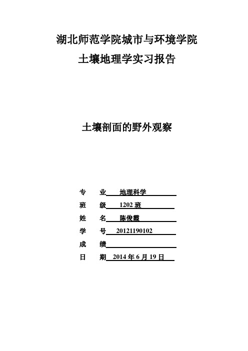 土壤剖面实验报告..