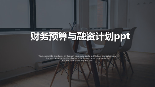 财务预算与融资计划ppt