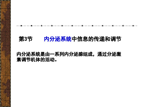 内分泌系统中信息的传递和调节