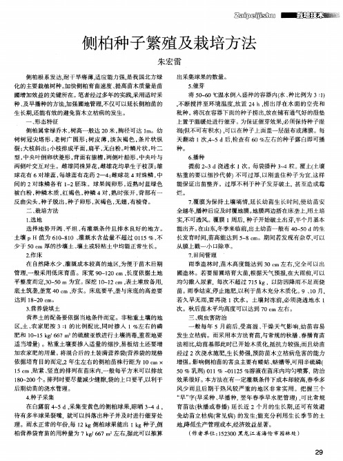 侧柏种子繁殖及栽培方法