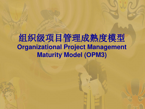 组织级项目管理成熟度模型