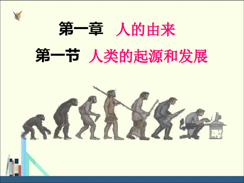 人教版七年级生物下册411人类的起源和发展