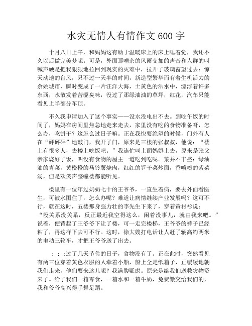 水灾无情人有情作文600字