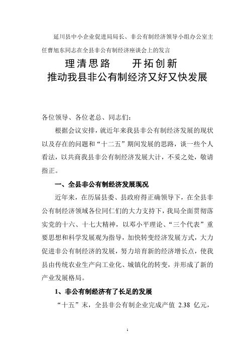 非公有制座谈发言稿