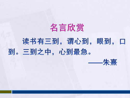 五年级上册语文课件-课文13 小英雄雨来|语文S版 (共33张PPT)
