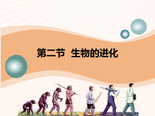 2021年《生物的进化》PPT下载文档