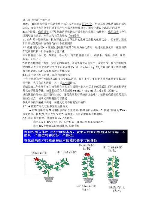 植物生理学