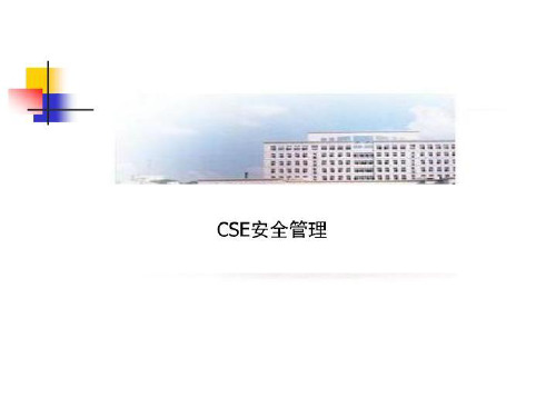 CSE安全管理