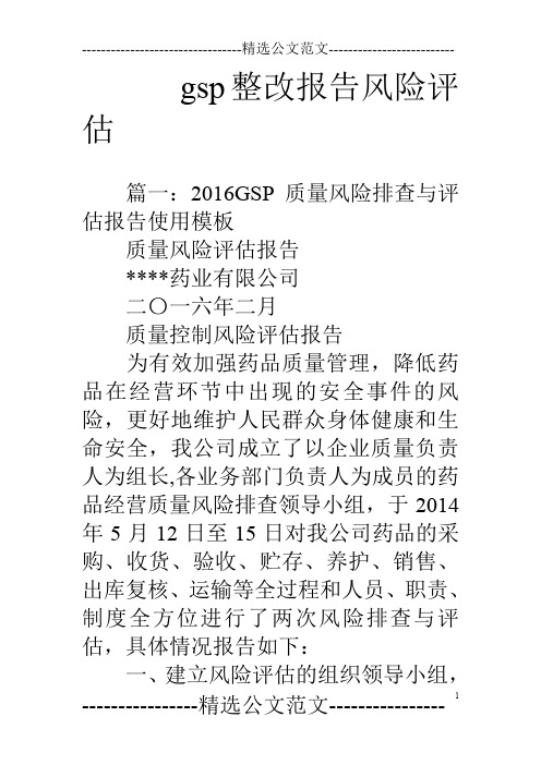 gsp整改报告风险评估