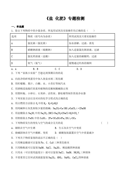 人教版初中化学2020中考复习专题《盐 化肥》专题检测(含答案)