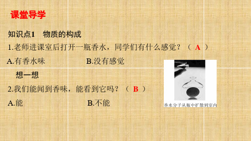 分子热运动    知识点及训练      九年级物理全一册