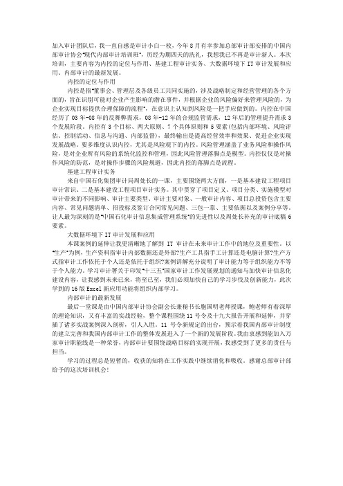 现代内部审计培训学习心得.docx