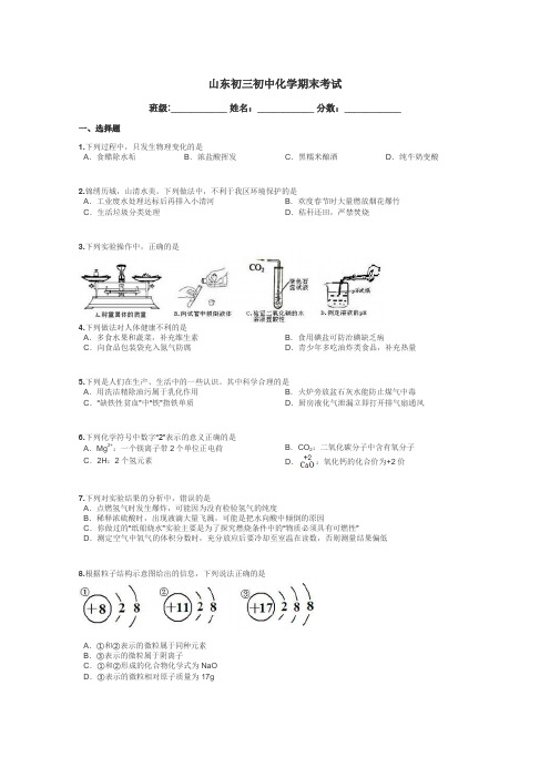 山东初三初中化学期末考试带答案解析
