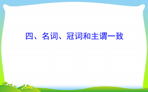 高考英语(外研版)一轮复习课件：语法专项+四、名词、冠词和主谓一致