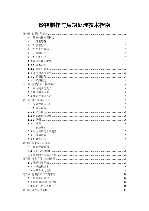 影视制作与后期处理技术指南