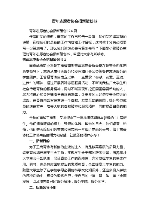 青年志愿者协会招新策划书4篇