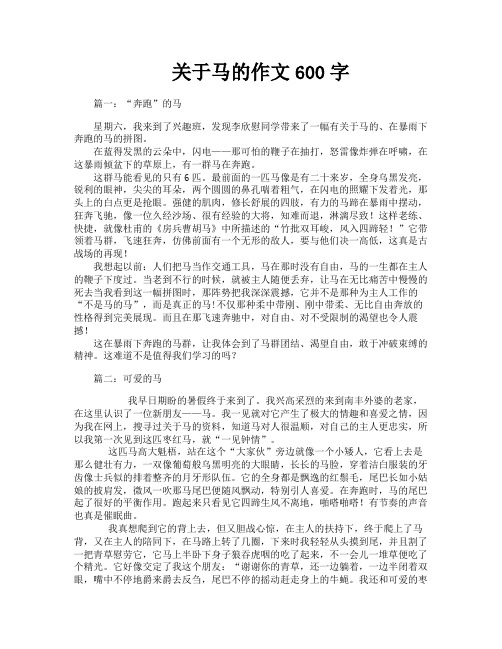 关于马的作文600字