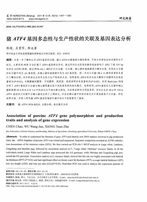 猪ATF4基因多态性与生产性状的关联及基因表达分析