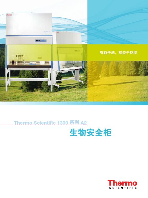 ThermoScientific1300系列A2生物安全柜