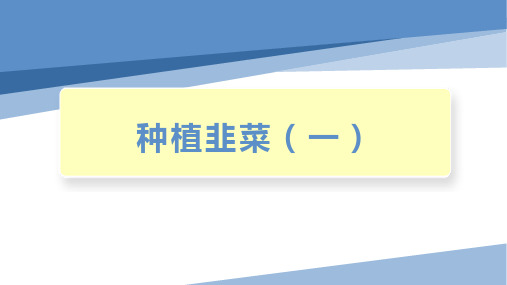 种植韭菜(一)(课件)-四年级劳动教育“小农庄”(校本课程)劳动技术课件