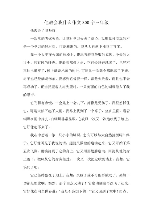 他教会我什么作文300字三年级