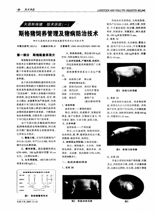 斯格猪饲养管理及猪病防治技术