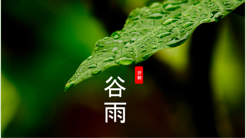 谷雨：二十四节气PPT主题班会课件(03)