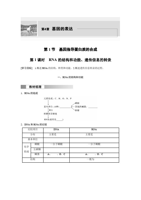 高中生物必修二 学习笔记 第4章 第1节 第1课时 RNA的结构和功能、遗传信息的转录