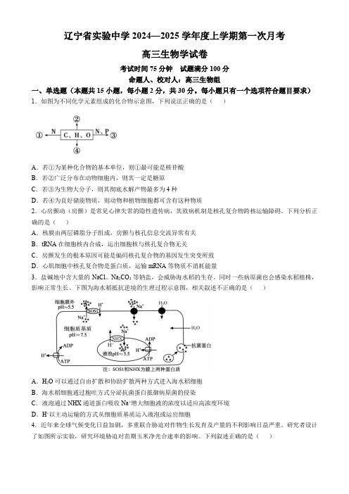 辽宁省实验中学2024-2025学年高三上学期10月月考生物试题(含答案)