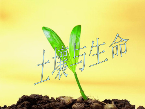 土壤与生命精品PPT课件