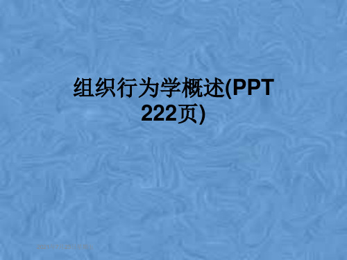 组织行为学概述(PPT 222页)