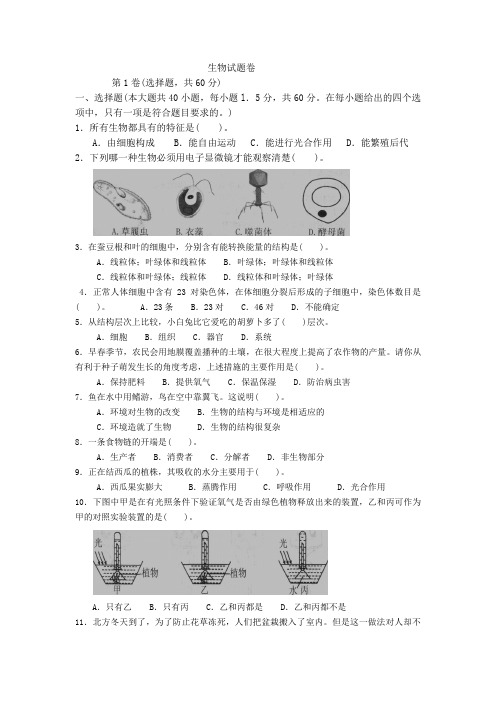 第六套模拟试题