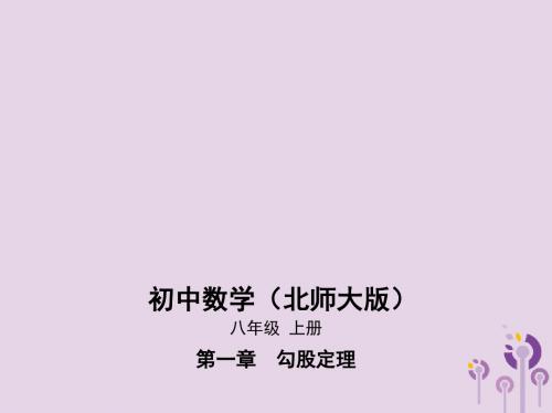 八年级数学上册第一章勾股定理3勾股定理的应用课件(新版)北师大版