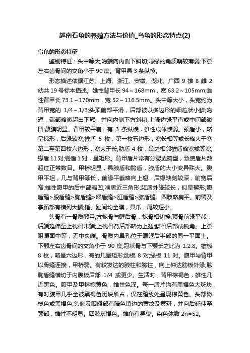 越南石龟的养殖方法与价值_乌龟的形态特点（2）