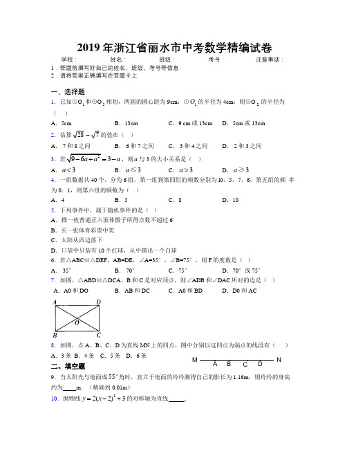 2019年浙江省丽水市中考数学精编试卷附解析