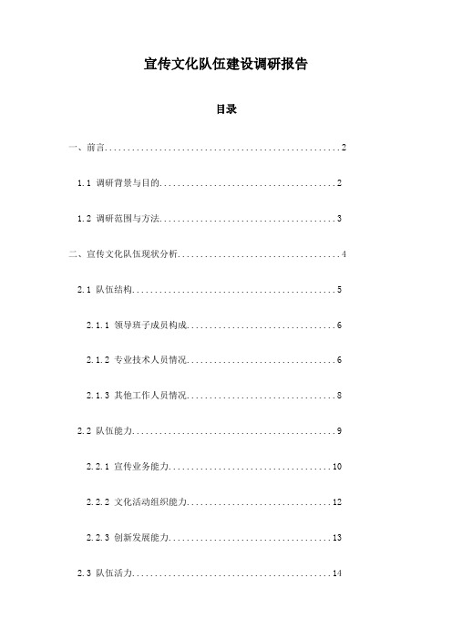 宣传文化队伍建设调研报告