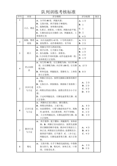 队列训练考核标准