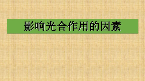 苏教版高中生物必修一第四章影响光合作用的环境因素 (共16张PPT)精选课件